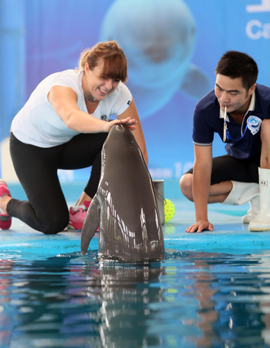 正是一种新 正是一种新