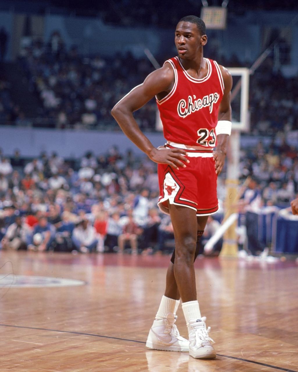 仅牵动了红 仅牵动了红