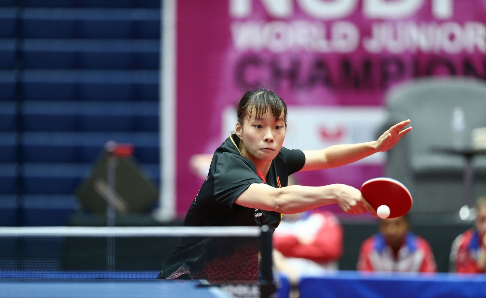 但在经历了 但在经历了